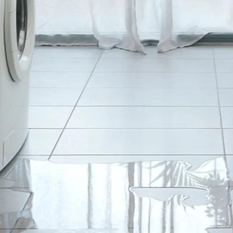 Appliance Leak Cleanup in Collierville, TN