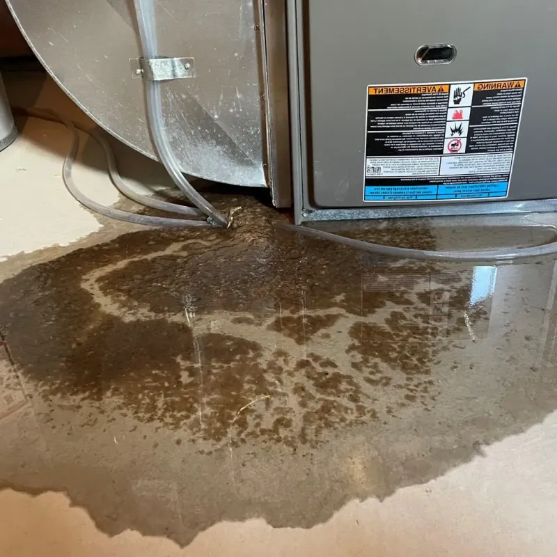 Pipe Burst and Leak Restoration in Collierville, TN