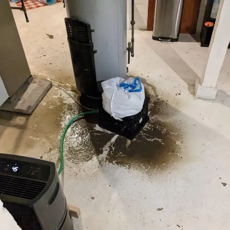 Sewage Backup Cleanup Service in Collierville, TN